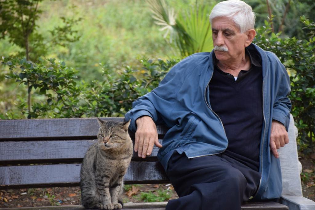 продолжительность жизни кошек по породам продолжительность жизни кошек по породам