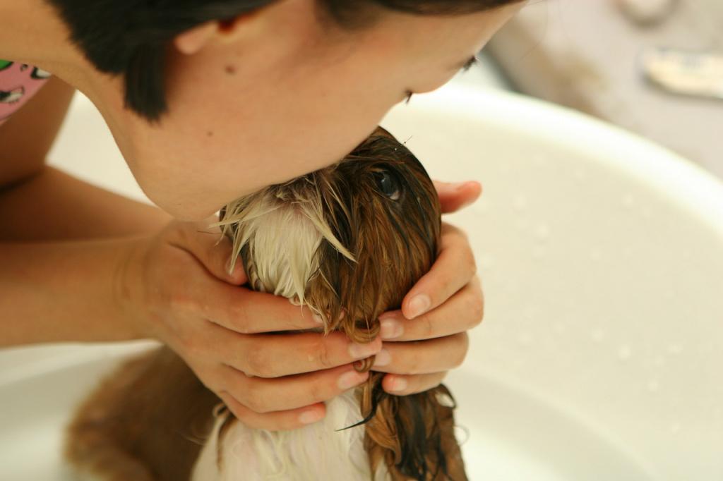 Можно ли сделать собачий шампунь своими руками?