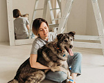Собаки в Москве: Пес, которого уберегли от расправы, сидит в приюте Мальчик, 10 руб. - фото 5