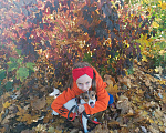 Собаки в Таганроге: Утеряна любимая девочка Девочка, 1 000 руб. - фото 4
