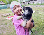Собаки в Серпухове: Щенки в добрые руки.  Девочка, 1 руб. - фото 1