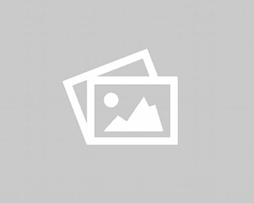 Американский питбультерьер (питбуль)