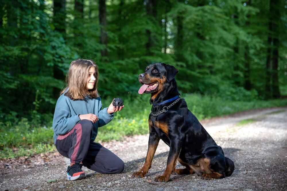 Ротвейлер с девочкой