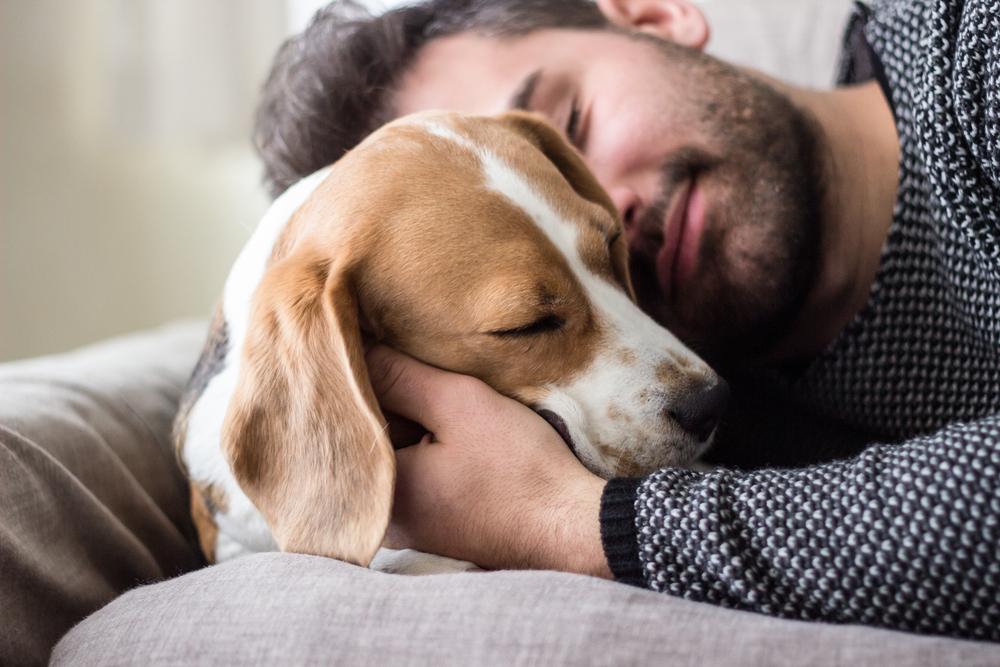 Почему собака любит спать с хозяином – и можно ли это разрешать?