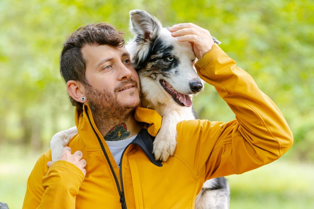 Это бордер-колли