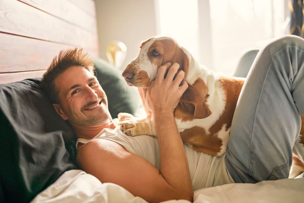 Порода собак с грустными глазами