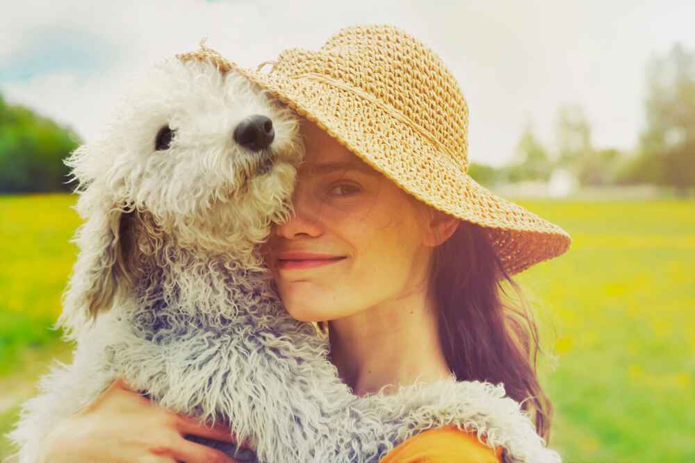 Бедлингтон-терьер с девушкой