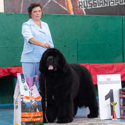 Окомелкова Людмила Юрьевна