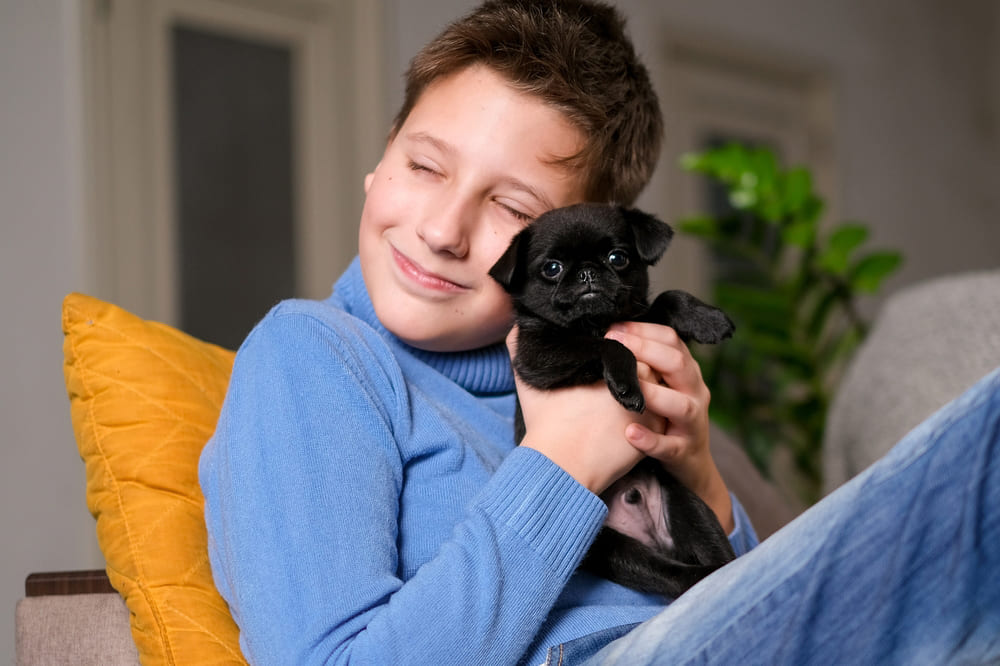 Щенок пти-брабансона с мальчиком