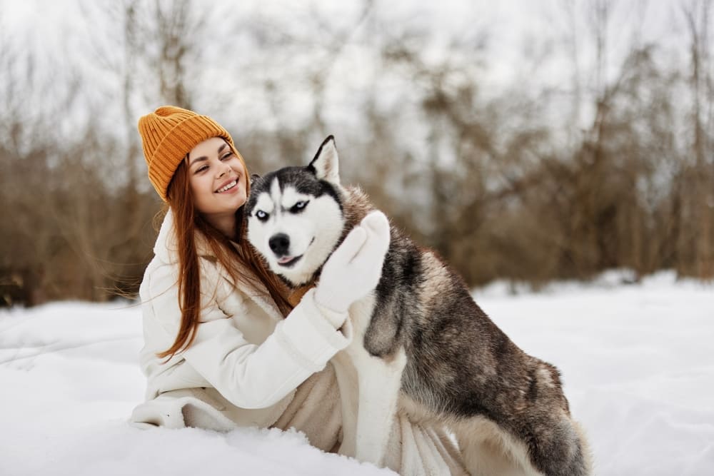 Характеристику сибирских хаски можно найти в стандарте