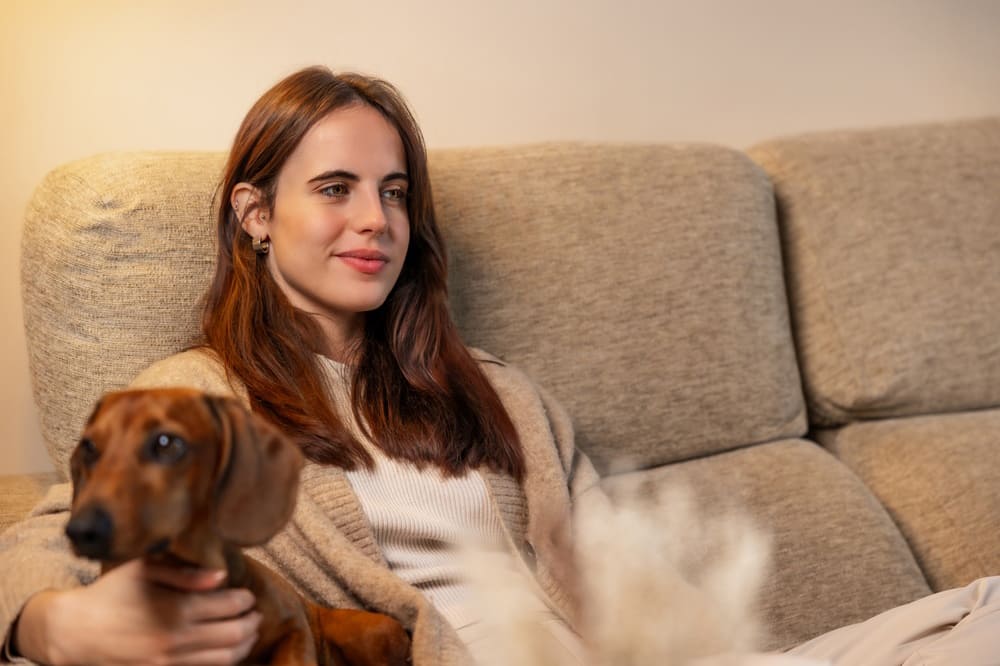 О происхождении породы такса нужно знать владельцам