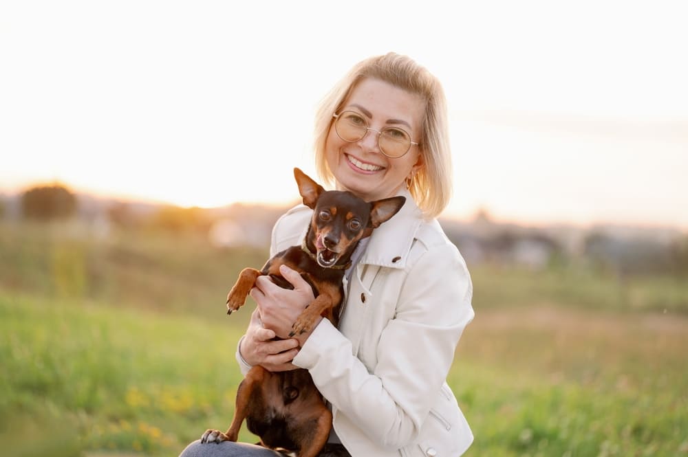 Портрет той-терьера