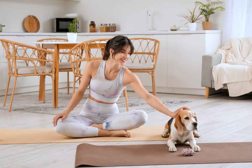 Бигль в доме