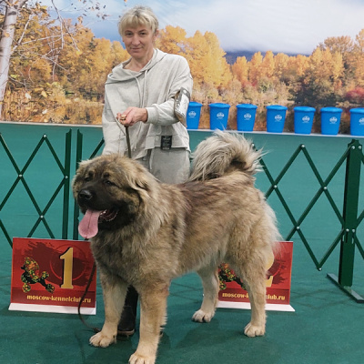 Зудина Людмила Владимировна