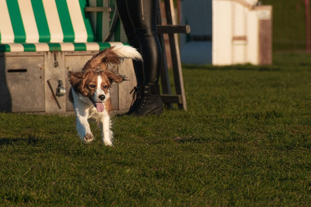 Коикерхондье
