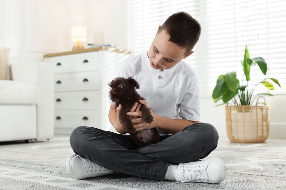 Гриффон с мальчиком