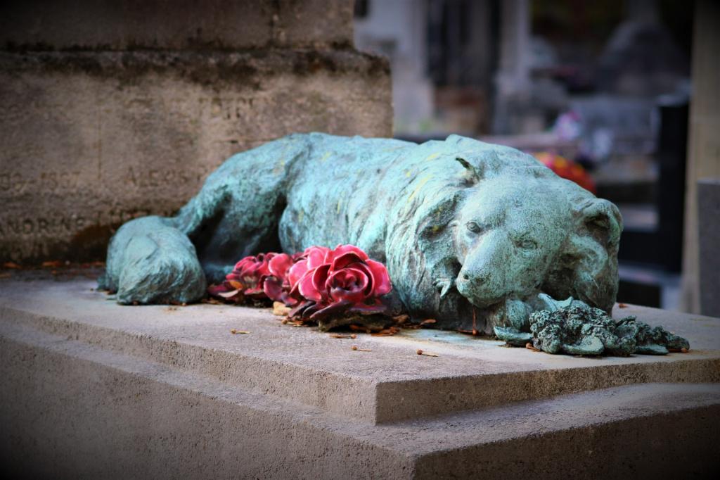 Где собака умерла. Мертвая собака на кладбище.