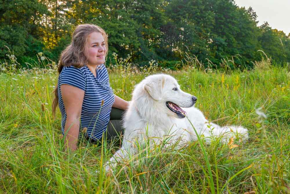 Два щенка словацкого чувача