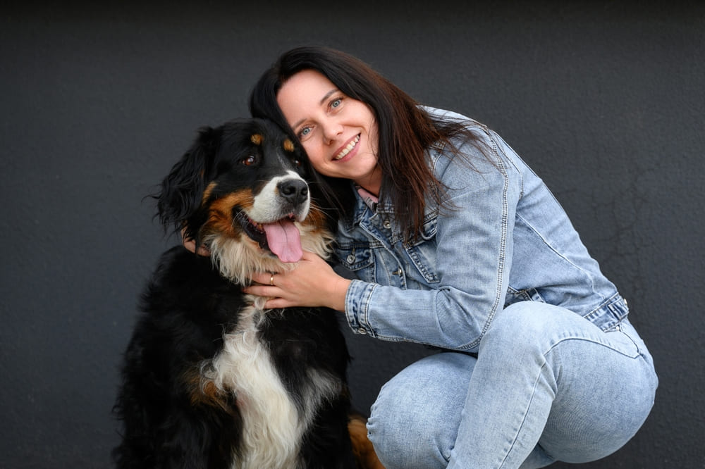 Бернский зенненхунд с девушкой