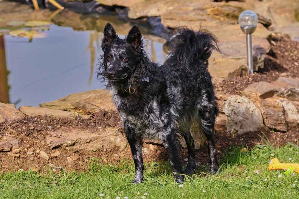 Муди на улице