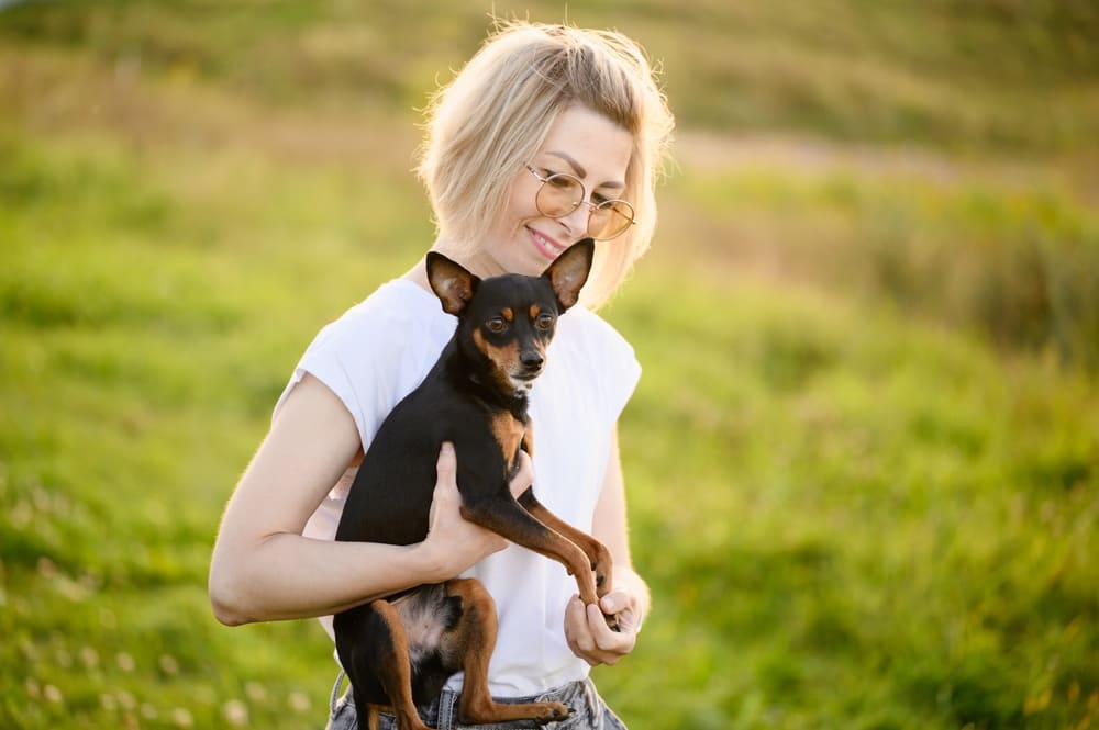 Той-терьер на руках у девушки