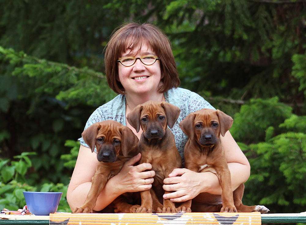 заводчик собак. щенки в питомнике. заводчик породистых собак. щенки в питомнике. разводчик собак.