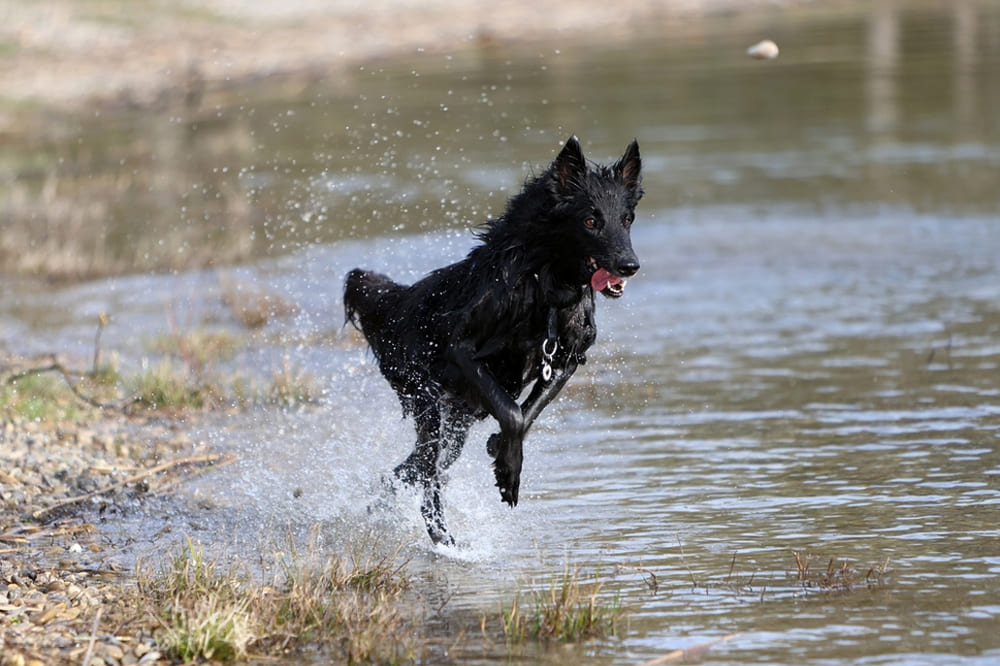 Грюнендаль нуждается в воспитании
