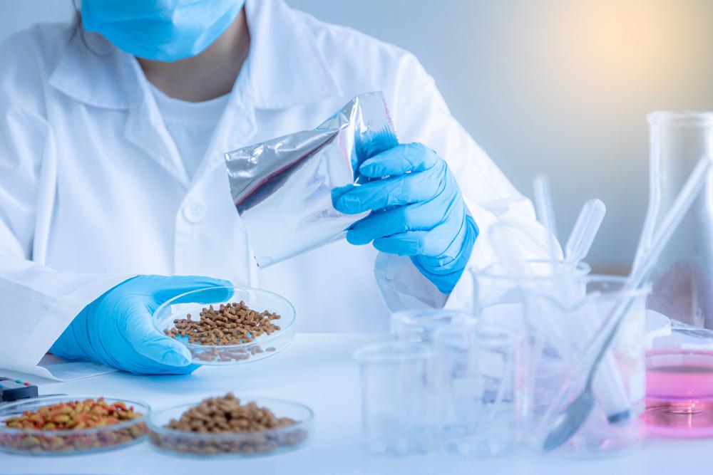 Какие бывают корма для собак по классам