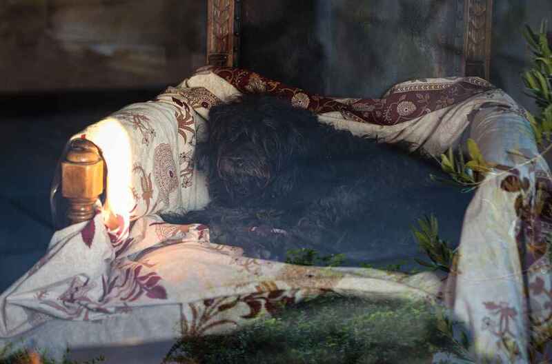 Какова история бергамаско?