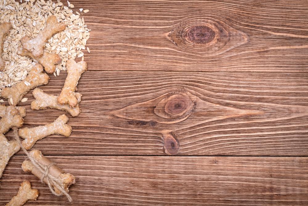 Чем полезна овсянка для собак