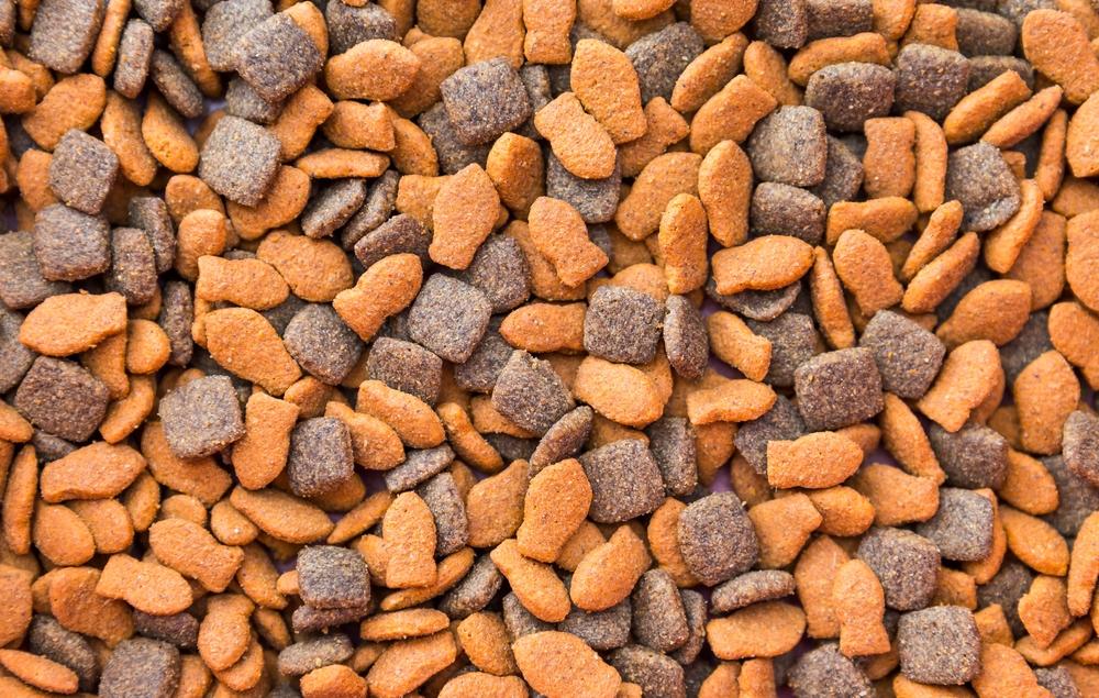 Особенности промышленного сухого корма для кошек Особенности промышленного сухого корма для кошек