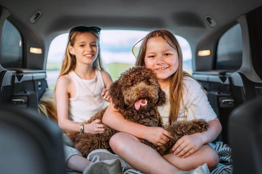 Есть ли у людей аллергия на мальтипу?