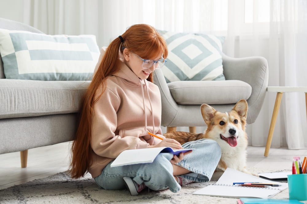 Калорийность рациона влияет на то, сколько весит корги