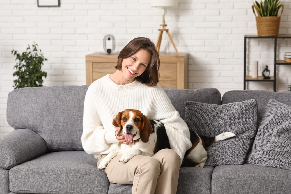 Важно знать, сколько длится беременность у самки бигля