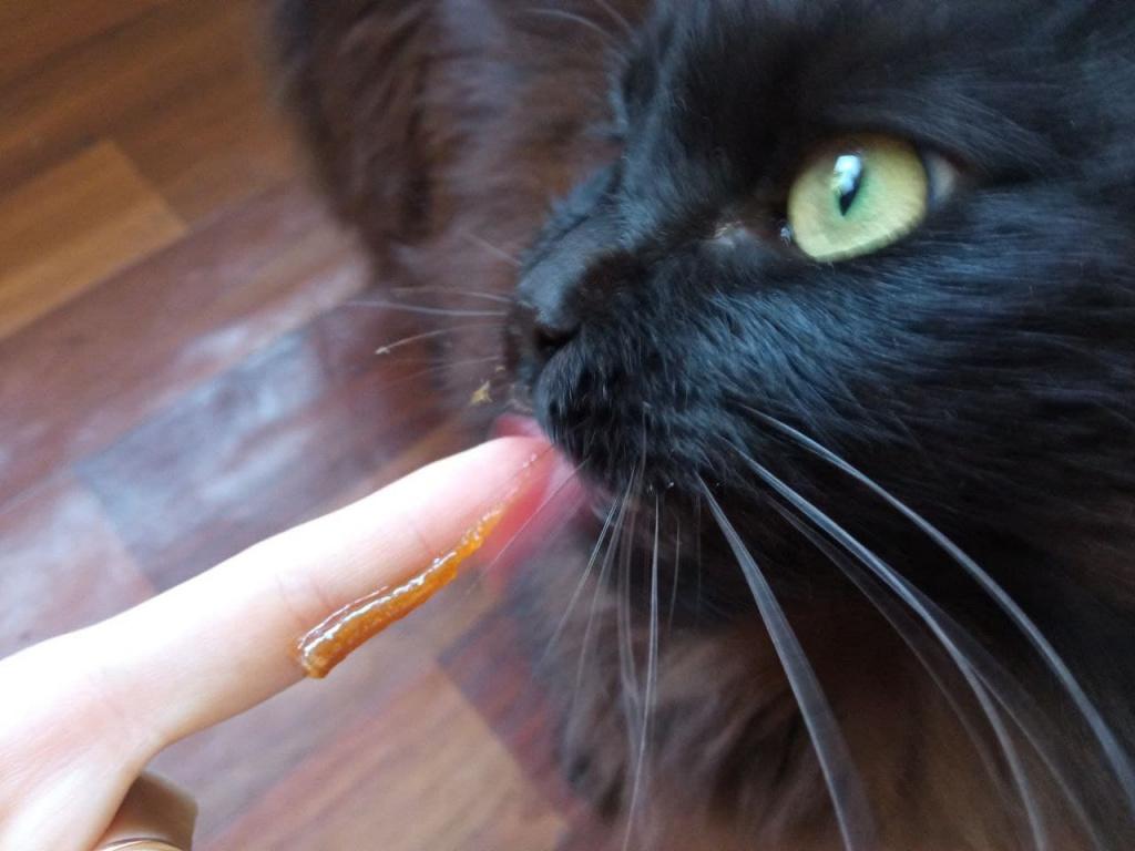 Паста для вывода шерсти у кошек Sanal