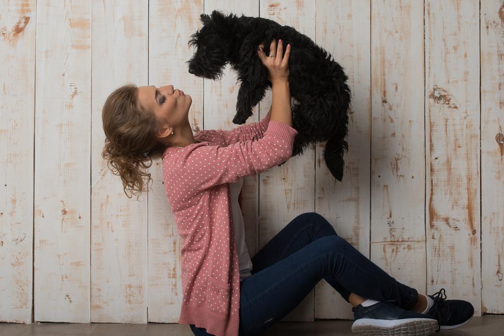 Факты о скотч-терьере