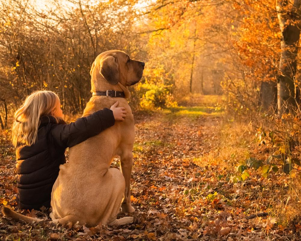 Характер брохольмера