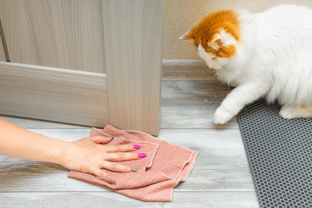 Как убрать запах кошачьей мочи с пола Как убрать запах кошачьей мочи с пола