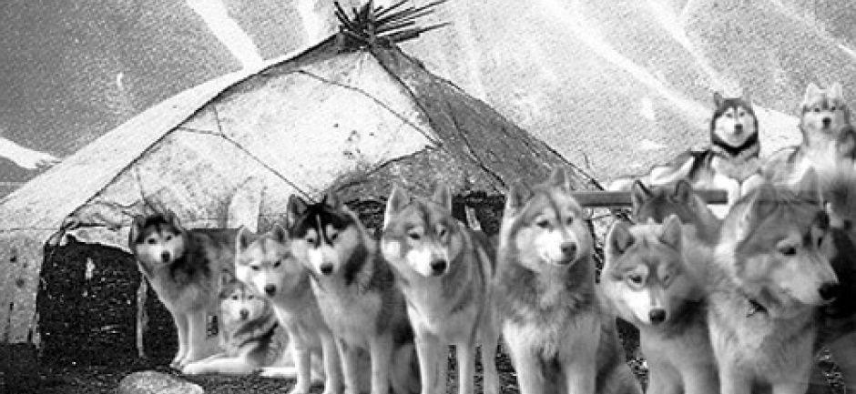 ΡΠΊΠΎΠ»ΡΠΊΠΎ Ρ
Π°ΡΠΊΠΈ ΠΌΠΎΠΆΠ΅Ρ Π±Π΅Π· Π΅Π΄Ρ. Π‘ΠΌΠΎΡΡΠ΅ΡΡ ΡΠΎΡΠΎ ΡΠΊΠΎΠ»ΡΠΊΠΎ Ρ
Π°ΡΠΊΠΈ ΠΌΠΎΠΆΠ΅Ρ Π±Π΅Π· Π΅Π΄Ρ. Π‘ΠΌΠΎΡΡΠ΅ΡΡ ΠΊΠ°ΡΡΠΈΠ½ΠΊΡ ΡΠΊΠΎΠ»ΡΠΊΠΎ Ρ
Π°ΡΠΊΠΈ ΠΌΠΎΠΆΠ΅Ρ Π±Π΅Π· Π΅Π΄Ρ. ΠΠ°ΡΡΠΈΠ½ΠΊΠ° ΠΏΡΠΎ ΡΠΊΠΎΠ»ΡΠΊΠΎ Ρ
Π°ΡΠΊΠΈ ΠΌΠΎΠΆΠ΅Ρ Π±Π΅Π· Π΅Π΄Ρ. Π€ΠΎΡΠΎ ΡΠΊΠΎΠ»ΡΠΊΠΎ Ρ
Π°ΡΠΊΠΈ ΠΌΠΎΠΆΠ΅Ρ Π±Π΅Π· Π΅Π΄Ρ ΡΠΊΠΎΠ»ΡΠΊΠΎ Ρ
Π°ΡΠΊΠΈ ΠΌΠΎΠΆΠ΅Ρ Π±Π΅Π· Π΅Π΄Ρ. Π‘ΠΌΠΎΡΡΠ΅ΡΡ ΡΠΎΡΠΎ ΡΠΊΠΎΠ»ΡΠΊΠΎ Ρ
Π°ΡΠΊΠΈ ΠΌΠΎΠΆΠ΅Ρ Π±Π΅Π· Π΅Π΄Ρ. Π‘ΠΌΠΎΡΡΠ΅ΡΡ ΠΊΠ°ΡΡΠΈΠ½ΠΊΡ ΡΠΊΠΎΠ»ΡΠΊΠΎ Ρ
Π°ΡΠΊΠΈ ΠΌΠΎΠΆΠ΅Ρ Π±Π΅Π· Π΅Π΄Ρ. ΠΠ°ΡΡΠΈΠ½ΠΊΠ° ΠΏΡΠΎ ΡΠΊΠΎΠ»ΡΠΊΠΎ Ρ
Π°ΡΠΊΠΈ ΠΌΠΎΠΆΠ΅Ρ Π±Π΅Π· Π΅Π΄Ρ. Π€ΠΎΡΠΎ ΡΠΊΠΎΠ»ΡΠΊΠΎ Ρ
Π°ΡΠΊΠΈ ΠΌΠΎΠΆΠ΅Ρ Π±Π΅Π· Π΅Π΄Ρ