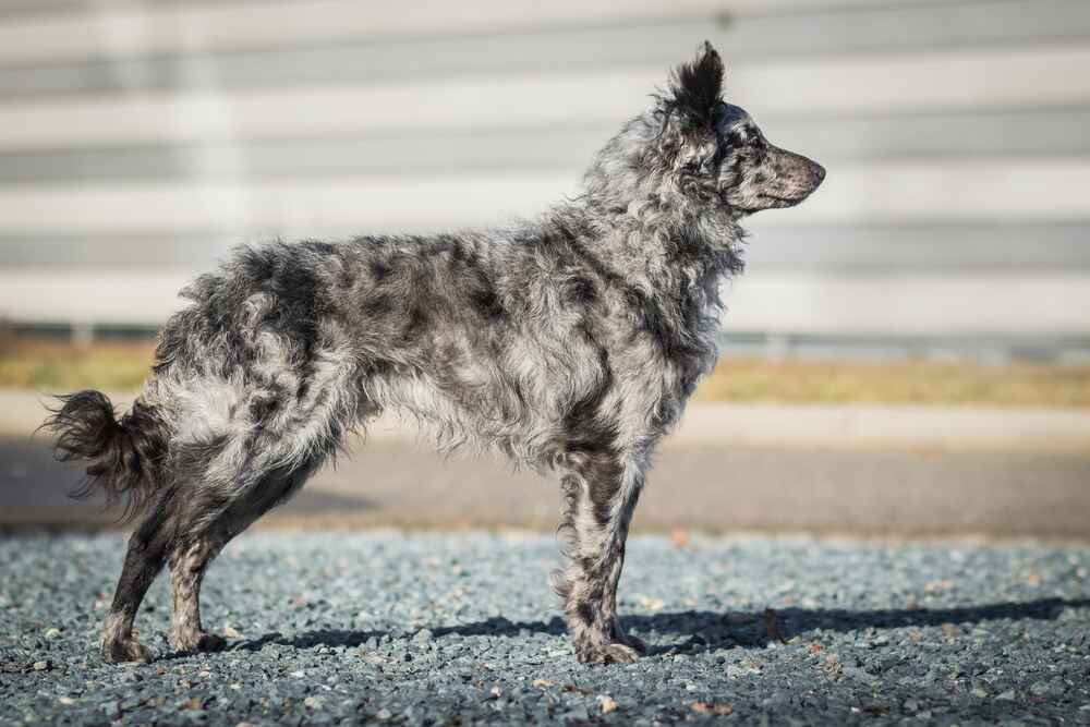 Муди важно социализировать