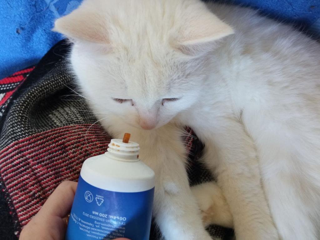 Паста для вывода шерсти у кошек Cliny