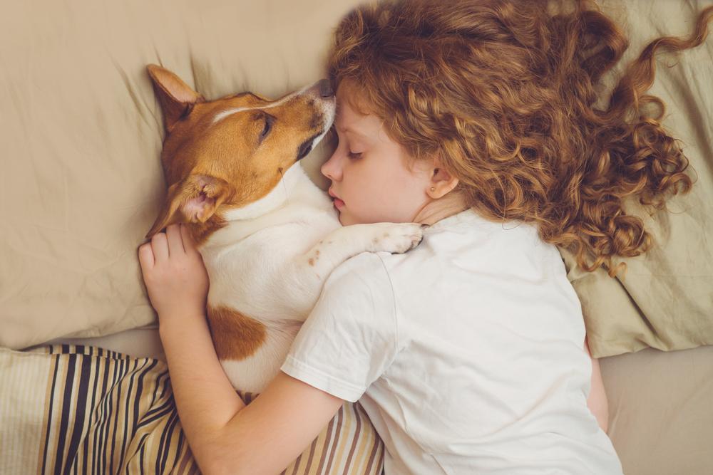 Причины, по которым собаки любят спать с людьми