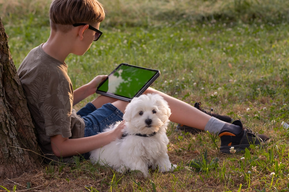 Важно контролировать, сколько весит мальтипу