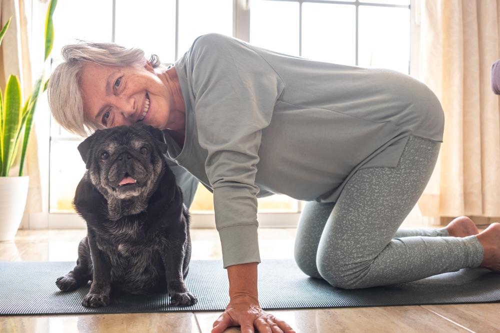 Черный окрас у мопса связан с генами