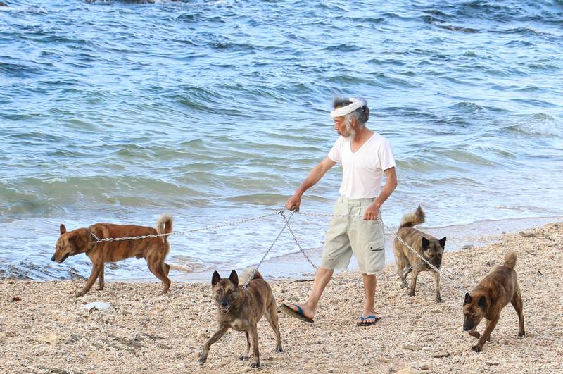 Характер рюкю