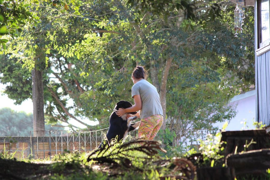 Как воспитывать непослушную собаку Как воспитывать непослушную собаку