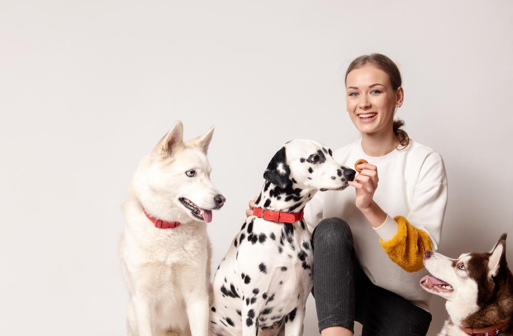 Собака не слушается из-за ошибок в воспитании Собака не слушается из-за ошибок в воспитании