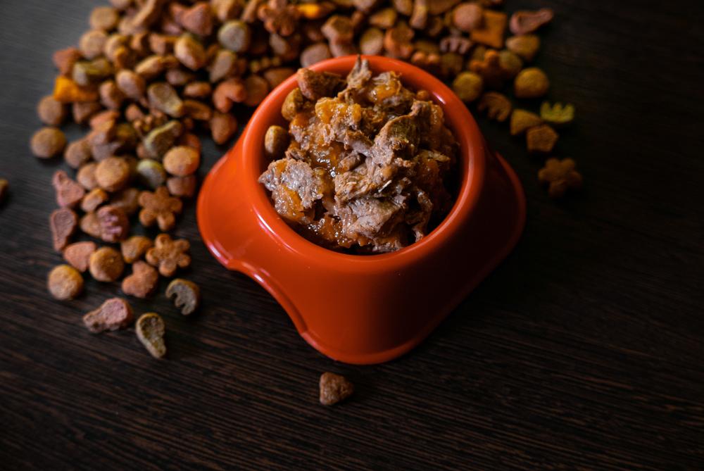 Влажный и сухой корм для собак