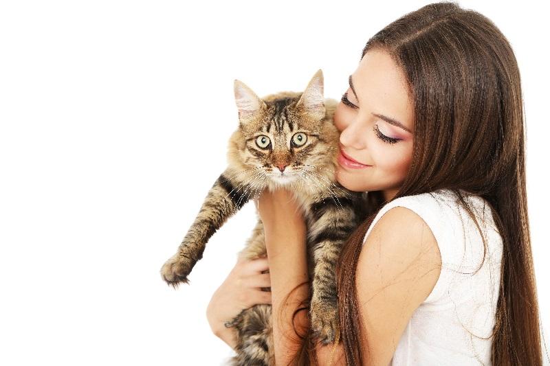Сложность воспитания котов и кошек