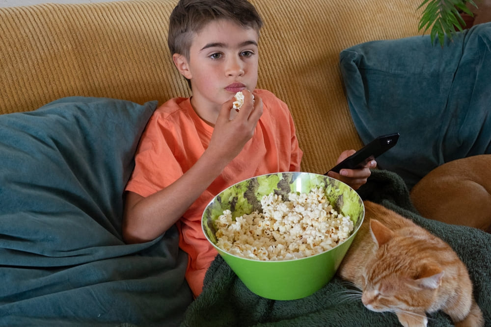 Важно знать, можно ли кошкам попкорн
